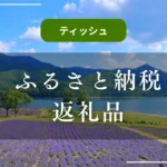 【ティッシュ】ふるさと納税返礼品