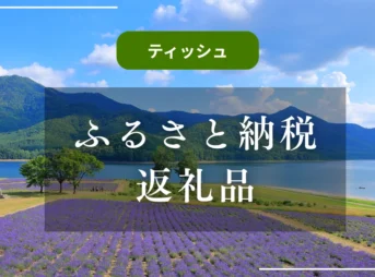 【ティッシュ】ふるさと納税返礼品