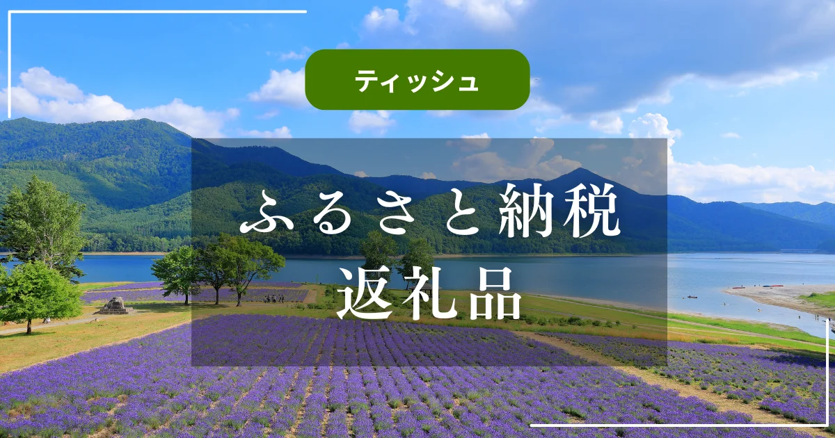 【ティッシュ】ふるさと納税返礼品